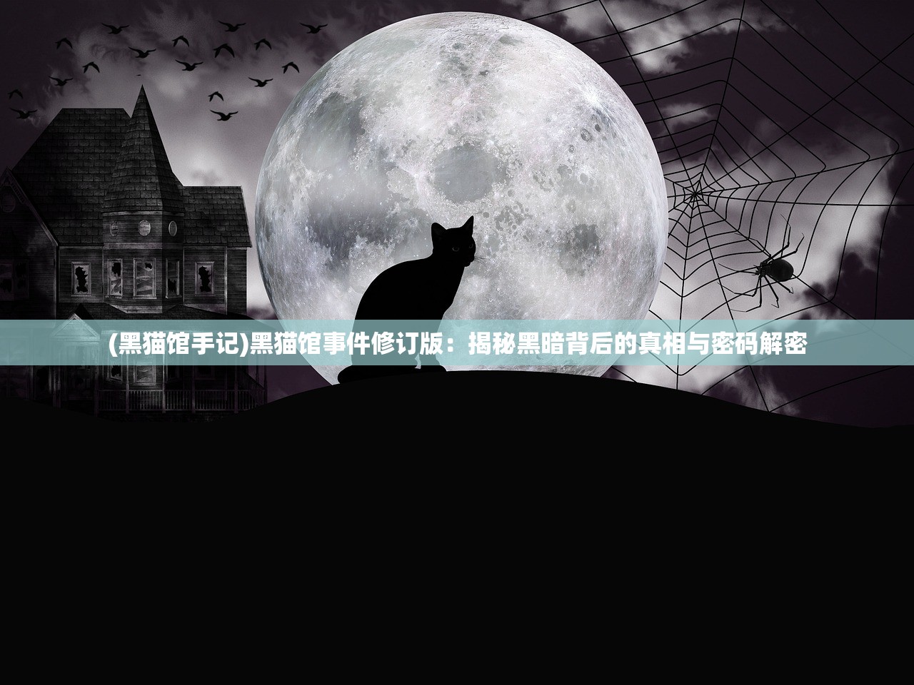 (进击的兔子小姐写的小说)进击的兔子小姐在Lofter的奇妙旅程