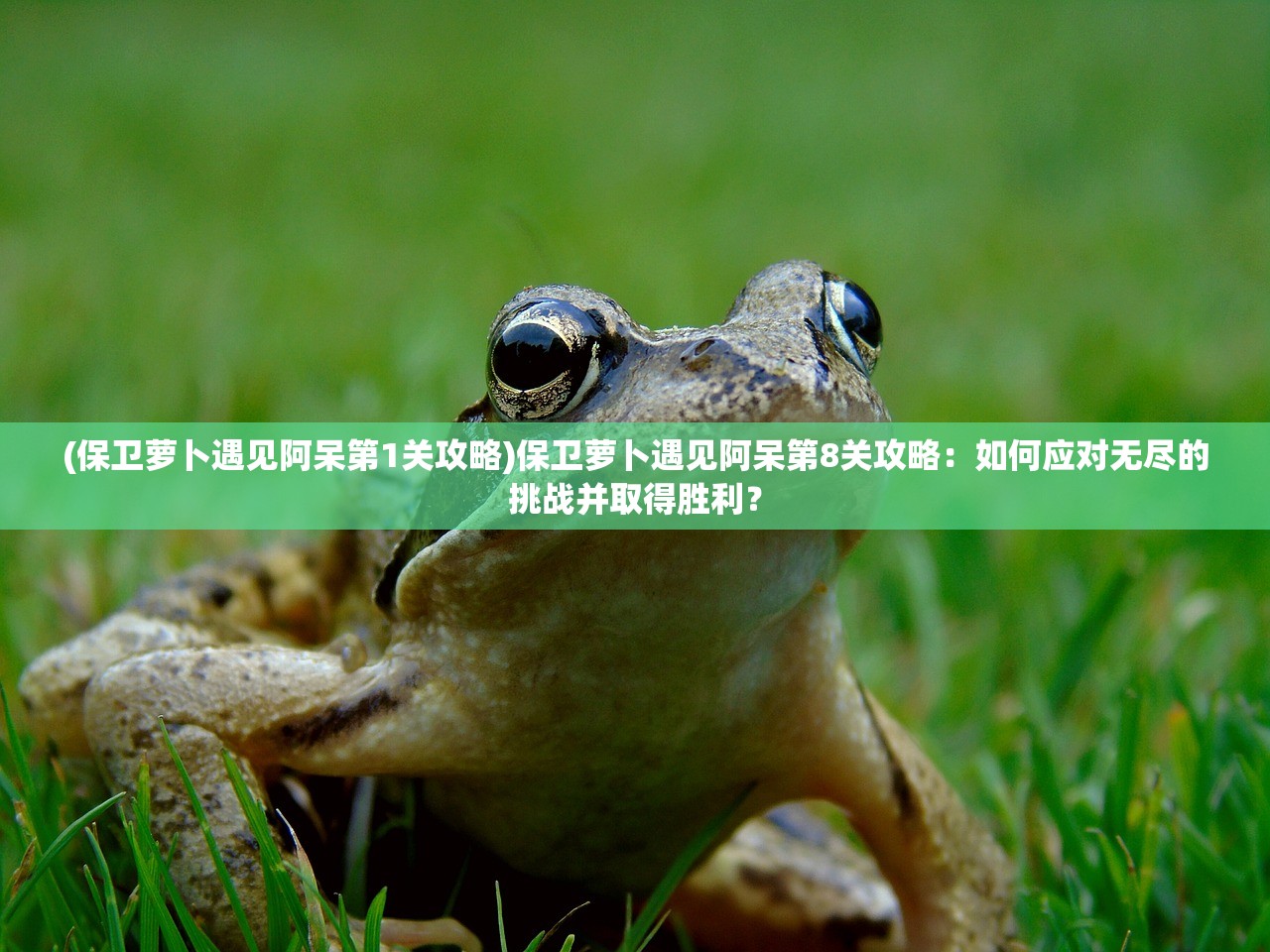 (奥特曼传奇英雄官方正版兑换码)奥特曼传奇英雄官方正版，英雄起源与传奇故事
