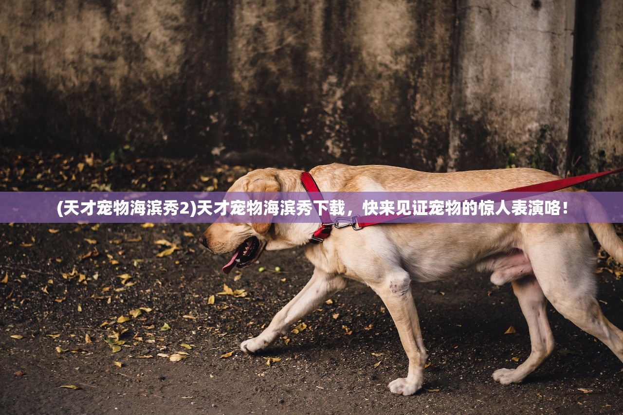 (上古灵域黑悟空GM助手)上古灵域中的黑悟空传奇