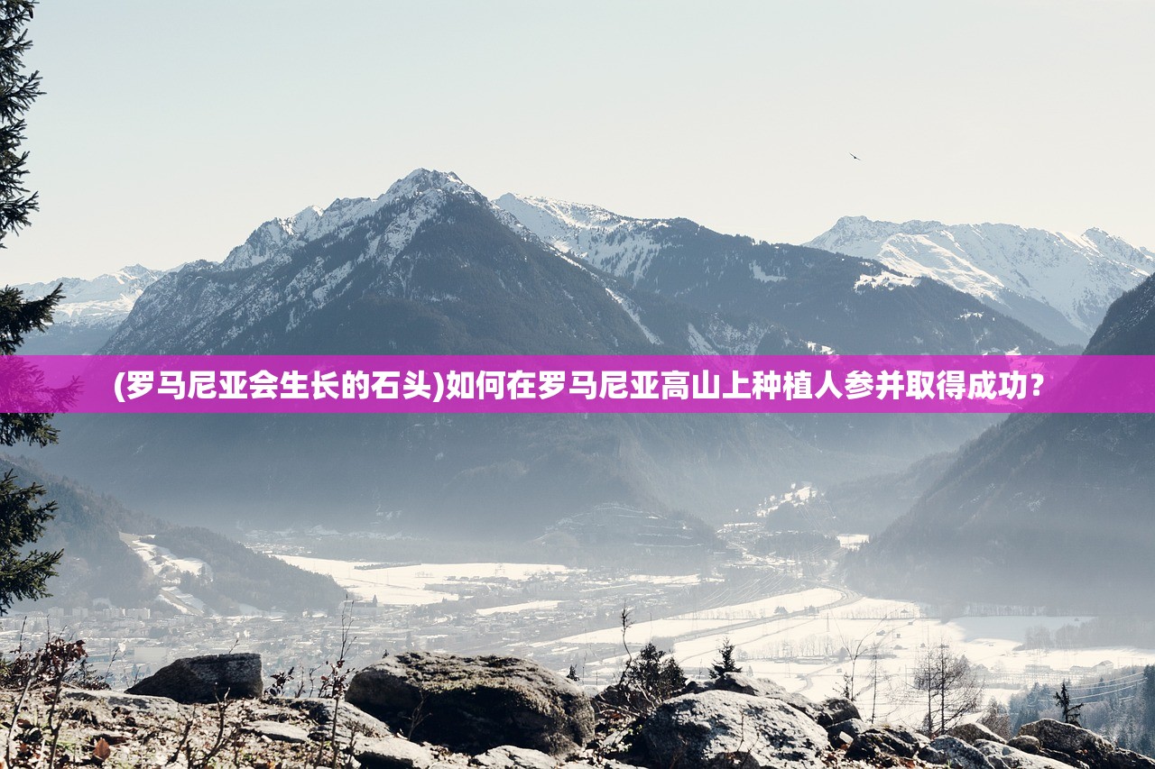 (电子姬与映月城)电子姬Wiki，探索虚拟世界的神秘存在