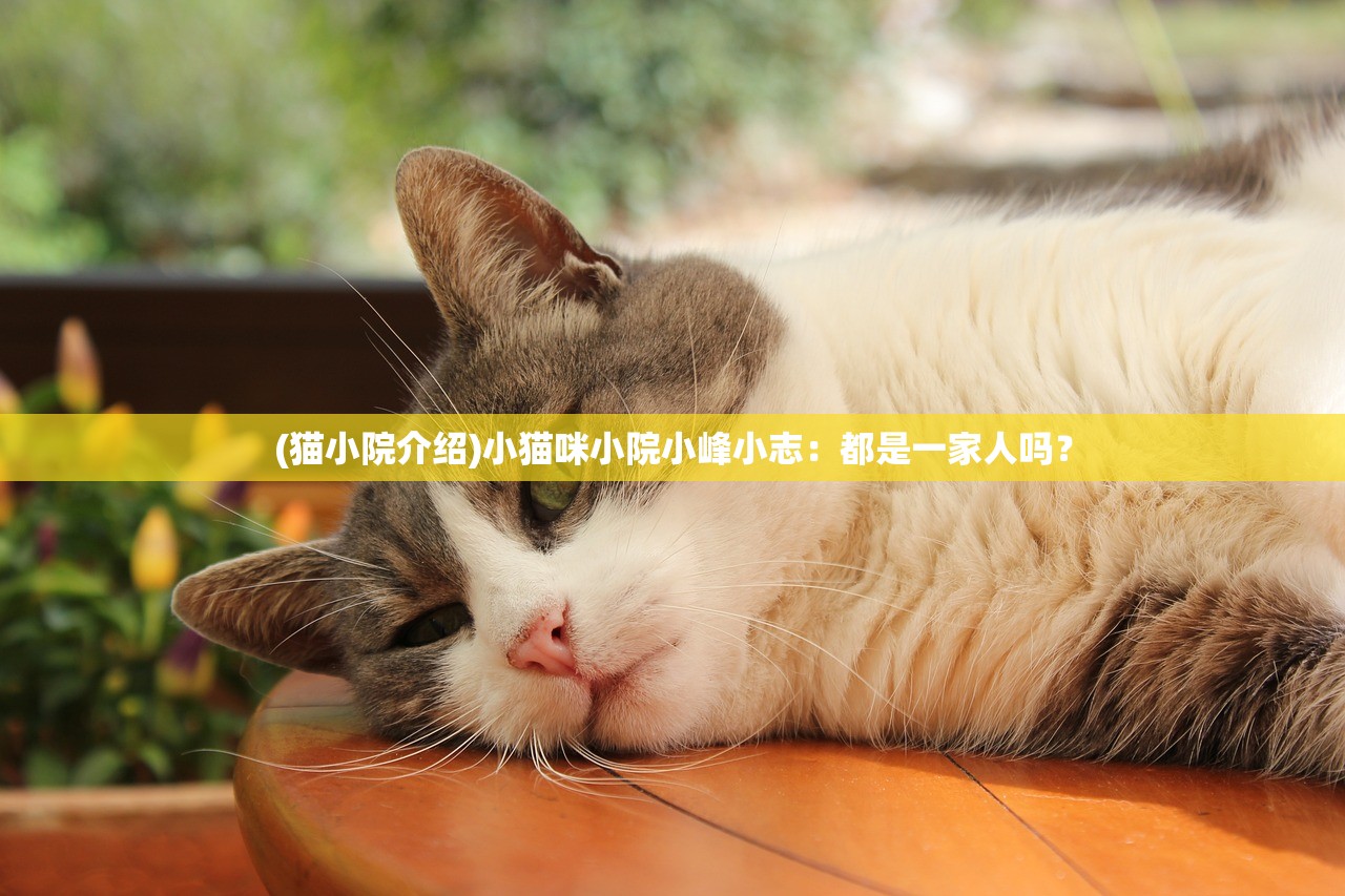 (wotb收益最好的金币车)WOT收益最好的金币车，全方位解析与探讨