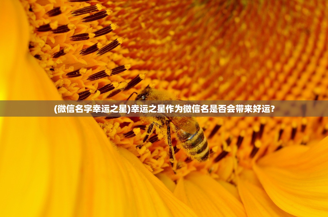 (ps3真北斗无双dlc免授权)PS3游戏大作，真北斗无双