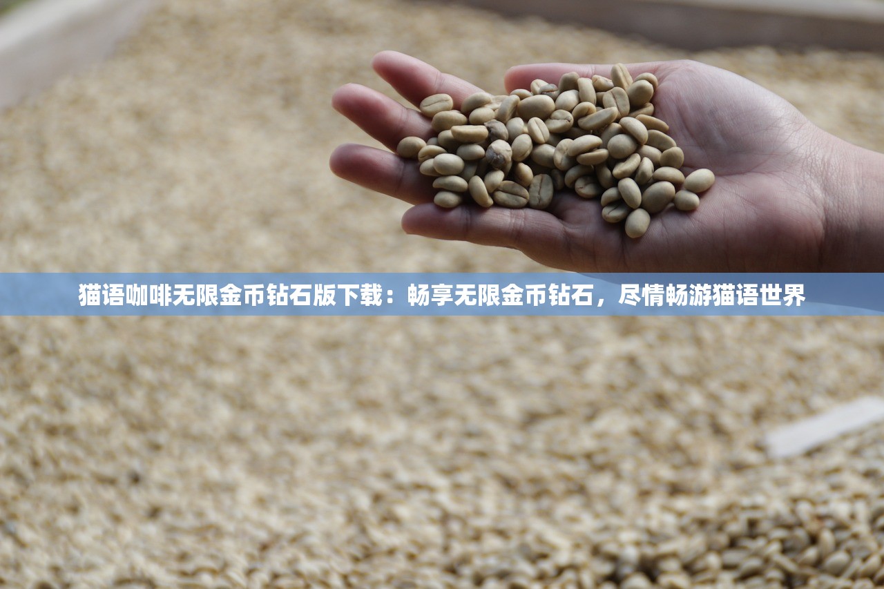 (阿斯年代记在线)阿斯特年代记，探索未知的时空之旅
