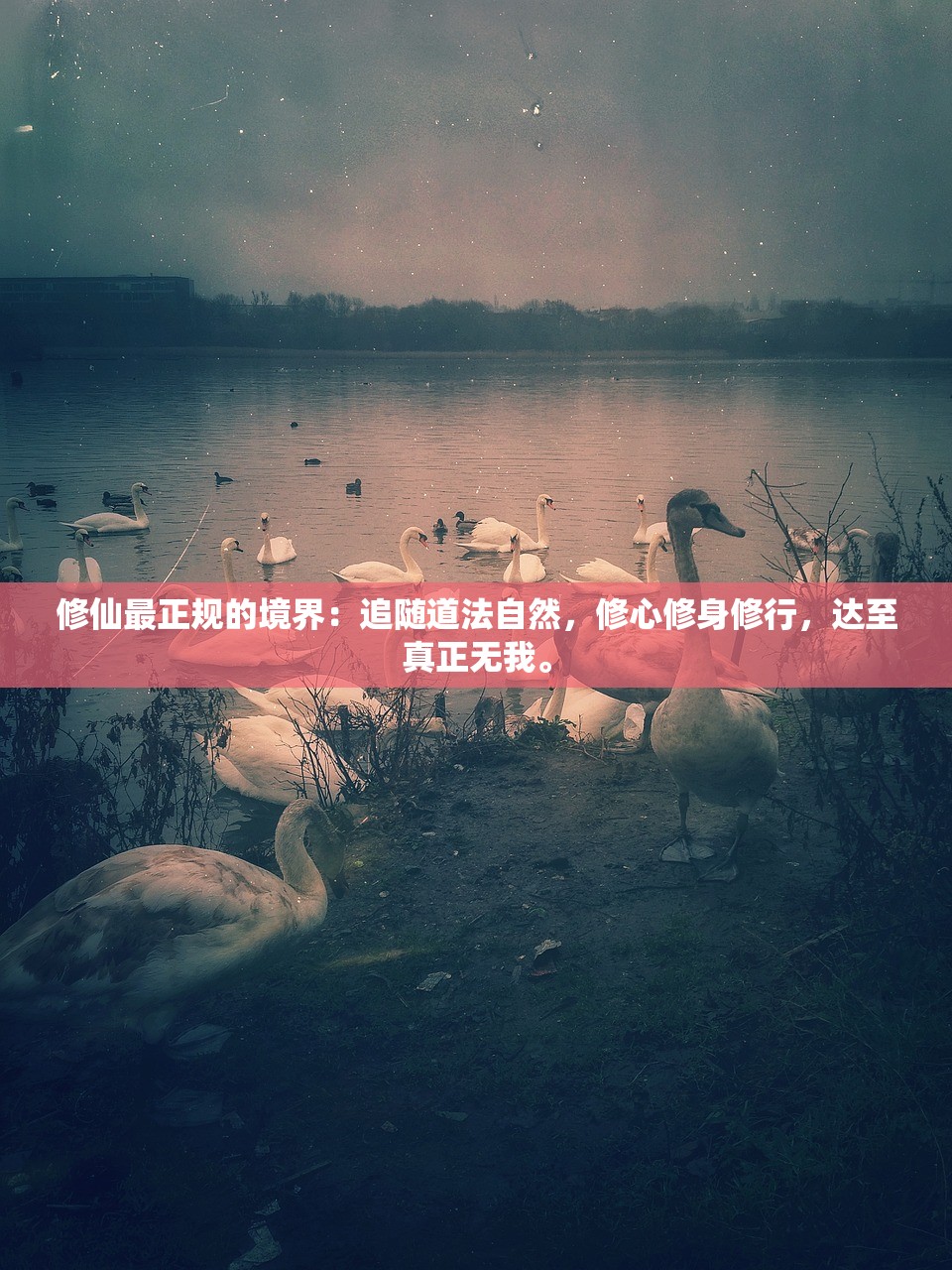 (挂江湖手游攻略)挂江湖手游，深入探索这个独特的手游世界