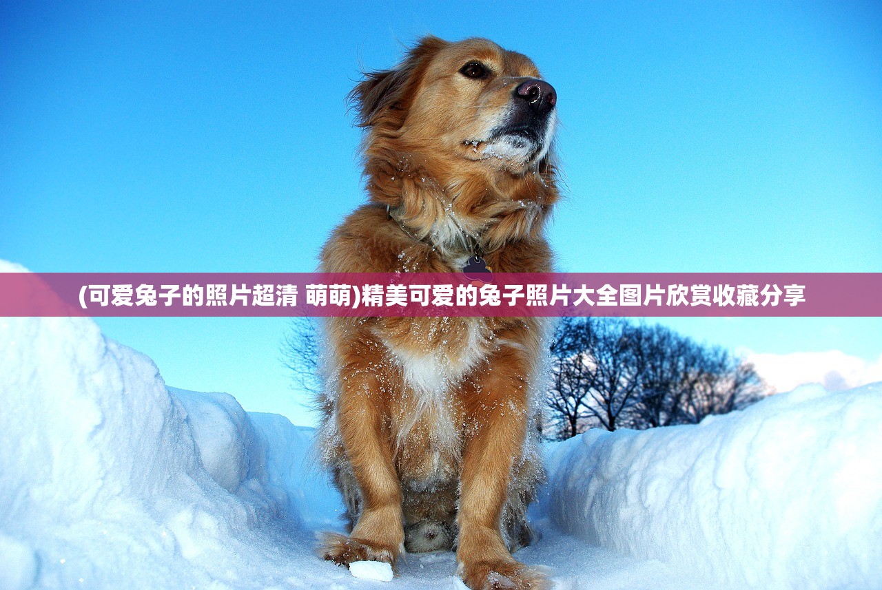 (权游凛冬将至对应的一句台词)权游凛冬将至，后续之句引深思