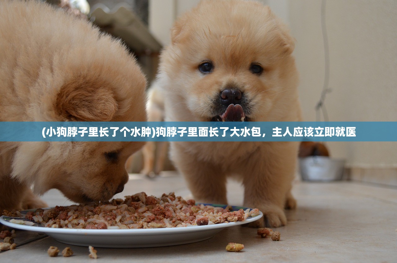(修真聊天群百度百科宋书航)修真聊天群，探寻古老修真的现代交流空间