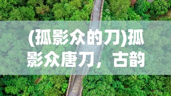 (一刀传世激活码领取最新2024)一刀传世激活码，获取与使用的全面指南
