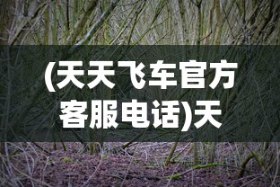 (不朽大陆手游兑换码)不朽大陆手游，探索奇幻世界的无限魅力