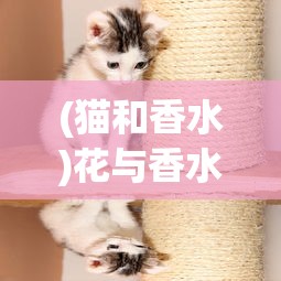 (村庄日记2图鉴)村庄日记2成就攻略及常见问题解答