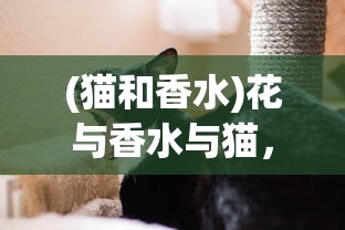 (雷顿 3ds)雷顿教授三部曲汉化安卓版，游戏探索与常见问题解答