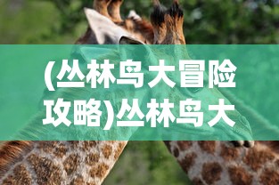 (神契幻奇谭漫画免费阅读)神契幻奇谭漫画，深度解析与探索