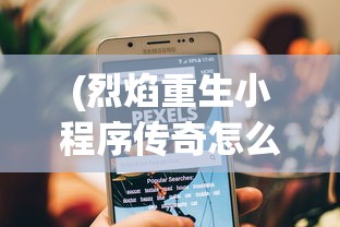 (豆娃去哪儿游戏)豆娃去哪儿，一场充满童趣与探索的冒险之旅