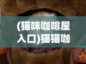 (暗黑先锋品牌 专题)暗黑先锋系，深入探索与常见问题解答