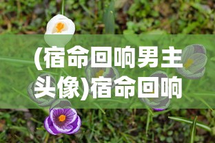 (正义荣耀平民最强阵容)正义荣耀，探寻CDK的神秘面纱