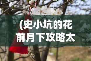 (勇闯女儿国礼包码)勇闯女儿国阵容，探寻梦幻团队的神秘魅力