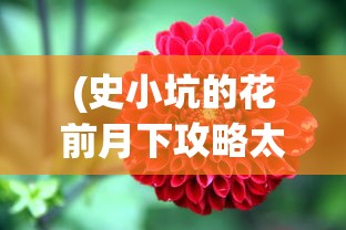 (天龙八部网游单机版哪个好玩)天龙八部网游单机版，深度探索与常见问题解答