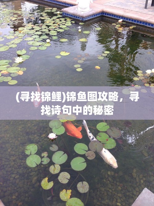 (2021炉石巫妖王怎么打)炉石传说巫妖王攻略贼，深度解析与策略指南