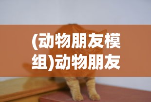 (星火商会创始人是谁啊)星火商会创始人揭秘，探索神秘面纱背后的创业传奇
