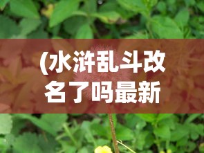 (兵棋棋子)棋兵传说与套路贷，真相解析