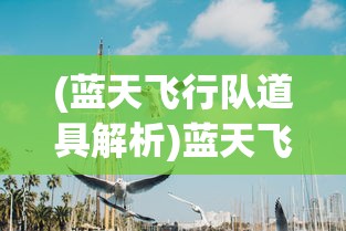 (弧月刀刀刃)孤月刀骗局揭秘，揭示背后的真相与应对之道