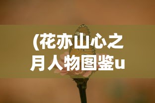 (杨家将传奇攻略图文详解)杨家将传奇攻略图文详解及常见问题解答