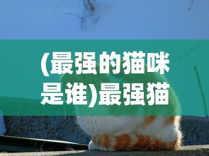 (异能勇者开箱下载)异能勇者开箱，揭秘神秘勇者的奇幻之旅