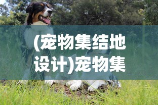 (魏蜀吴三国实力排名)魏蜀吴三方实力的历史演变与现代解读