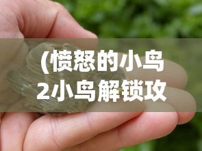 (口袋联盟为何下架)口袋联盟下架原因深度解析