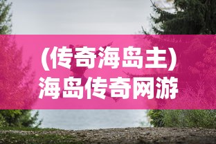 (代号231谍战片电视剧)代号238，神秘数字背后的故事与探索