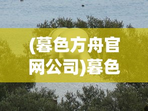 (餐厅萌物语邀请码怎么填)餐厅萌物语邀请码无效问题解析与应对指南