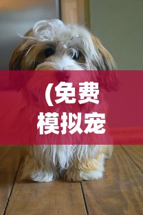 (大征服者罗马修改版贴吧)大征服者罗马满级修改版，深度解析与探索