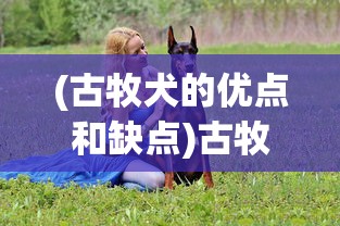 (冲刺跑跑不动)冲刺跑跑跑攻略全解析，掌握游戏精髓，轻松领跑赛道