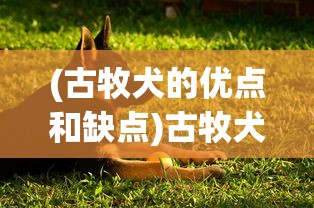 (大征服者罗马修改版贴吧)大征服者罗马满级修改版，深度解析与探索