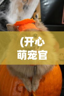 (逍遥情缘长生劫攻略视频)逍遥情缘长生劫全攻略，游戏指南与常见问题解答