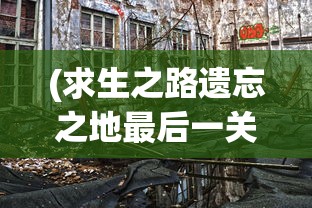 (大燕王妃手游攻略大全)大燕王妃手游攻略大全及常见问题解答