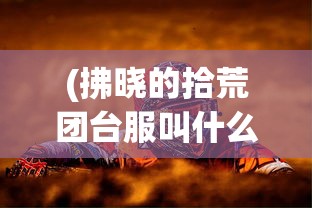 (黎明特制版2010价格)黎明特制版，探索与众不同的艺术魅力与独特价值