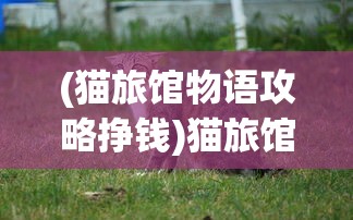(熊出没乐园叫什么名字来着)熊出没乐园的神秘名字揭晓