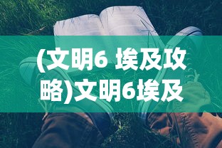 (冲锋吧精灵加速器自动抓宠)冲锋吧精灵加速器，游戏提速的神器还是潜在风险？