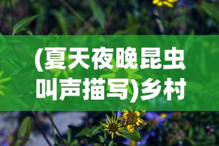 (次元封神录首抽)易次元封神录攻略大全及常见问题解答（FAQ）