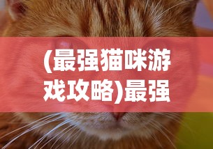 (不同地方的冬天设计意图)四季之冬，详尽图文攻略，带你领略不同的冬天风情