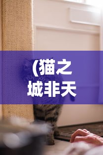 (地下城与古堡无限金币版)关于地下城与古堡无限金币钻石的全面解析与攻略