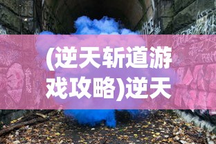 (零之逆转日服节奏榜)零之逆转日服的魅力与挑战，深度解析与常见问题解答
