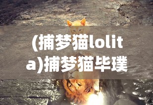 (兽潮来袭阵容)全面攻略，如何应对兽潮来袭
