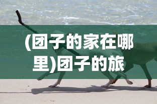 (三国志5攻略大全)三国志5最全面攻略及常见问题解答