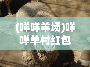 (233乐园不需要实名)关于233乐园安装不实名认证的文章标题及内容