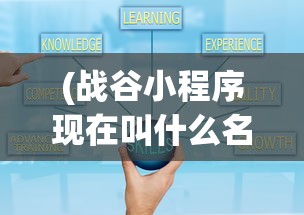 (奇迹 枪手)奇迹枪手内购，游戏深度解析与探讨