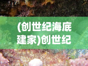 (进击的赵云改名叫什么来着)进击的赵云，英雄名字的变迁