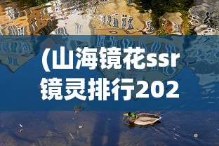 (快乐无双是什么意思?)快乐无双，探寻其深层含义与人生启示