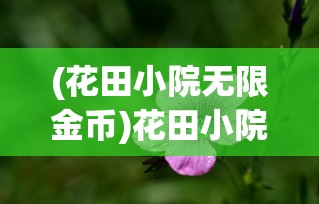 (kio的人间冒险波波家攻略)Kio的人间冒险攻略，波波左边房间的神秘探索