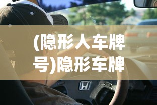 (影之刃零是哪个公司)影之刃零，深度解析与探讨